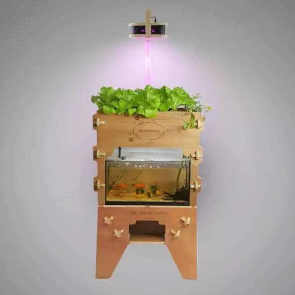 Aquapoineers 想在家里种菜？去打印一套“鱼菜共生”系统吧